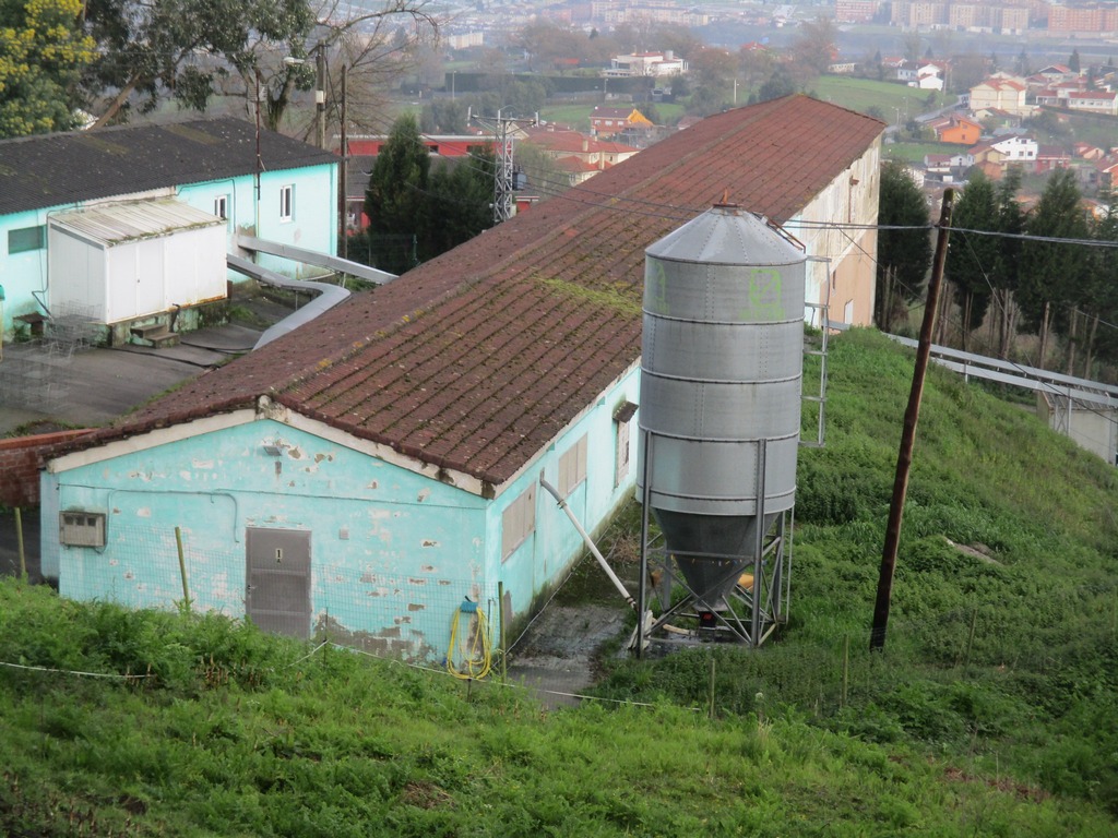 Finca edificable en Faro - Oviedo